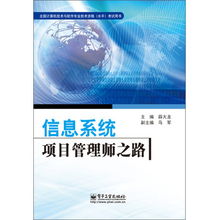 全國計算機技術與軟件專業技術資格（水平）考試用書 信息系統項目管理師之路——數據處理技術